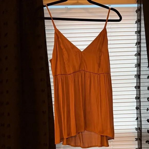 Express Satin Cami Dress in Rust - Picture 1 of 3